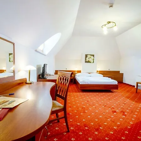 Hotel Stary Mlyn Koziegłowy