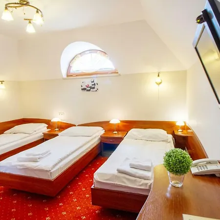 Stary Mlyn Hotel Koziegłowy