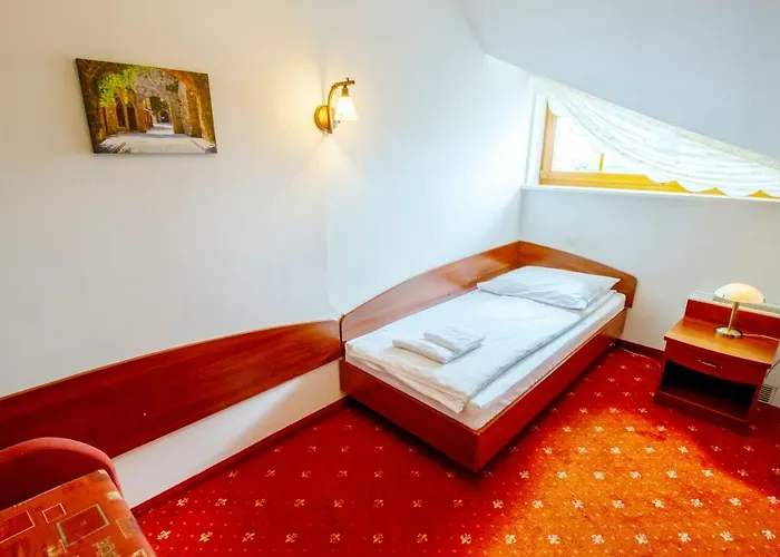 Stary Mlyn Hotel Koziegłowy