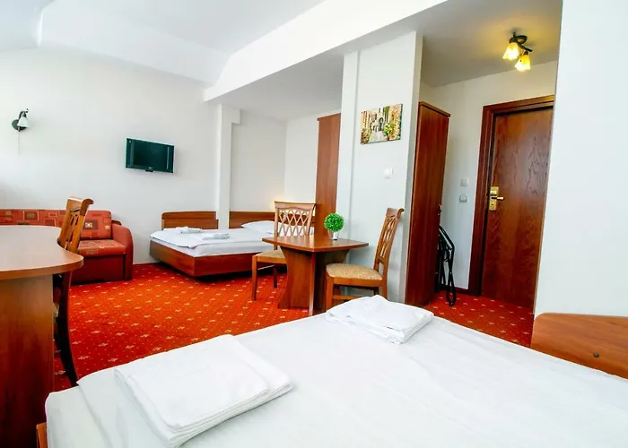 Stary Mlyn 2* Koziegłowy