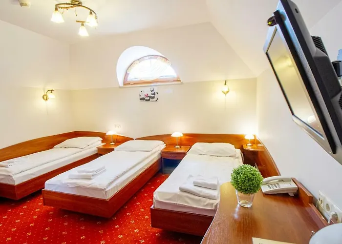 Stary Mlyn Hotel Koziegłowy